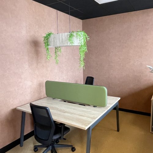RhesoTech-2401-PHOTO6b
